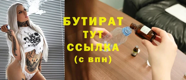 крисы Бородино