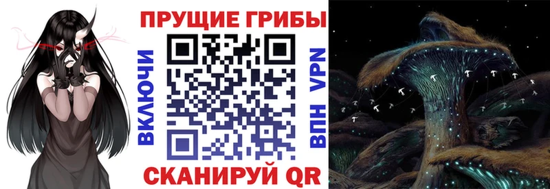 Псилоцибиновые грибы Magic Shrooms Щигры